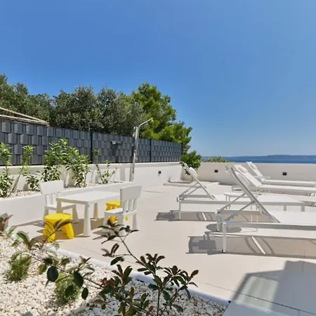 Olive Trogir