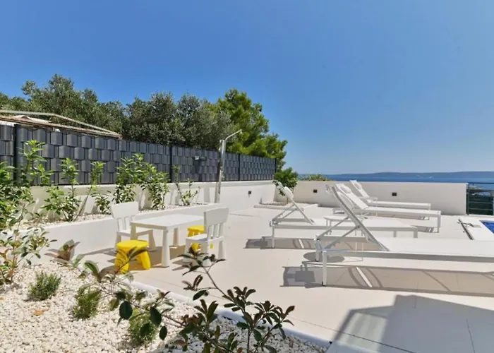 Olive * Trogir