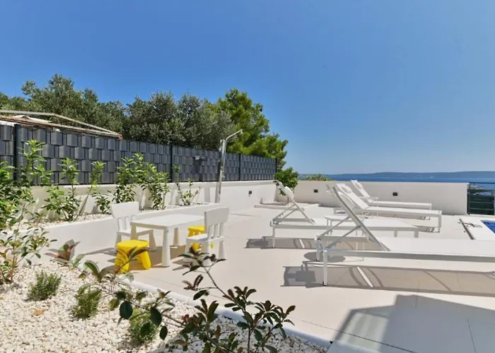Olive Trogir