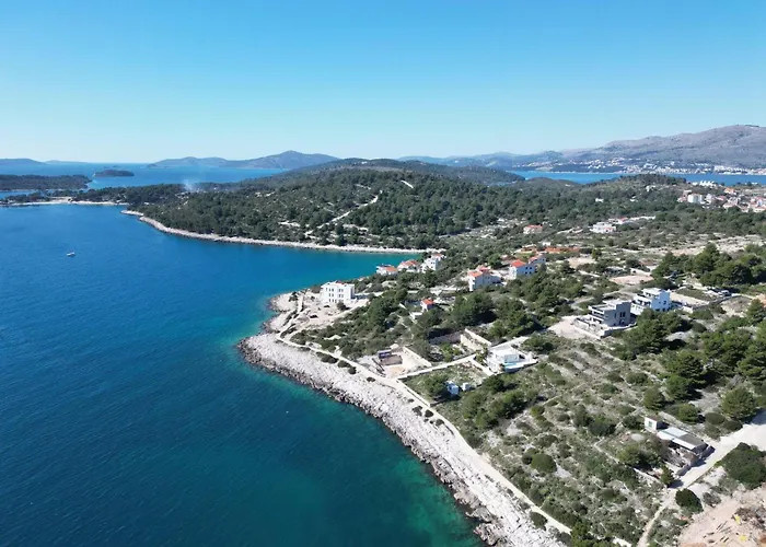 Olive Trogir