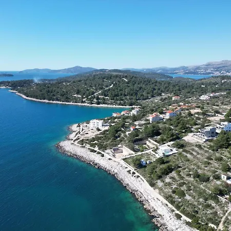 Olive Trogir
